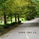 문경대도깨비도로 티스토리
