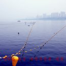 한강아쿠아 이미지