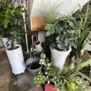 고원관광휴게소 이미지