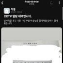 평화의광장 농구장