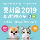 펫트렌드인터네셔널