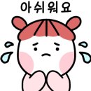 욜로김밥 이미지