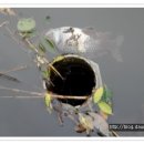 자연의 순환 이미지