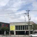 삼수장어 이미지