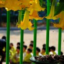 낙천대2 이미지