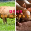 축산물도소매 이미지