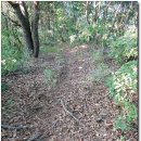 식현2리 이미지