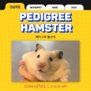 와우펫앤쥬 대구점 이미지