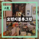 대전 중앙로역 뜨개 소품샵 '오렌지블루그린' | 핸드메이드 키링·뜨개꽃 후기