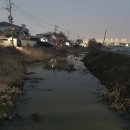 당산농원 네이버블로그