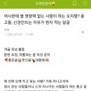 여시한테 별 영향력 없는 사람이 하는 오지랖? 충고들, 신경 안쓰는 이유가 뭔지 적는 달글 이미지