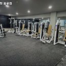 머슬원핏 월곶점 이미지