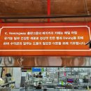 케이헤밍웨이베이커리카페 이미지
