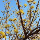 주흥3길 34 이미지