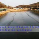 애기봉낚시터