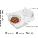 반려식탁 이미지