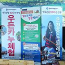 물레길 티스토리