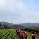 금곡동 9-3 이미지