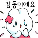 에브리데이 홀리데이 이미지