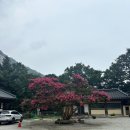 용추사 - 1852 | 함안 용추사 : 마음이 편안해지는 용추사 방문후기