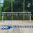 당정중학교 | 군포당정중학교 - 축구 골대 (P자형, 육각골망)설치