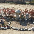 평창베니스 이미지