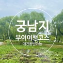 애견나라 | 부여 궁남지 애견동반 가능한 산책코스