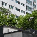 비둘기어린이집 이미지