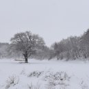 황태덕장 이미지