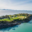 (주)파인비치 이미지