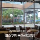파스쿠찌용산더