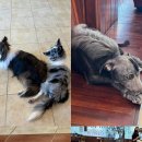 화산1번가 이미지