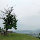 진거리농원 이미지