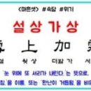 설상가상(雪上加霜) 뜻·유래·예문 이미지