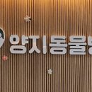 양지동물병원 이미지