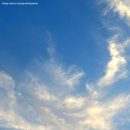 라스트핏 달동점 이미지