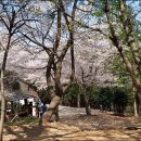 엄광산 동구경계 이미지