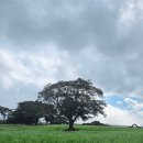 페이지인스테이 이미지