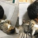 공감 이미지