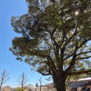 심천힐링관광농원 | 완도글램핑 이든관광농원에서 제대로 힐링하고 온 후기