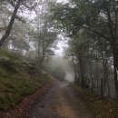 부엔까미노 이미지