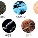 해피크린하우스 이미지