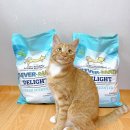 후레쉬 펫 푸드 | 고양이모래 :: 감자상담소 섞어쓰는 벤토나이트 추천