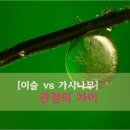 진차이 이미지