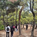 아차산PC | 스포벡 회기역점 4월 27일 아차산 등산 이벤트🌄 운동도 힐링도, 그리고 짜장면과 탕수육까지 완벽했던...