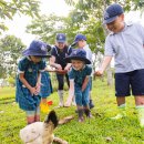 An integral part of life at MCM, Barton Farm offers pupils 이미지