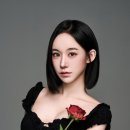 문라이트스튜디오 이미지