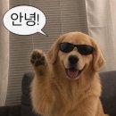 우덕 | 78회 한능검 합격, 우쑤판서 공부 후기(79회 한능검 대비)