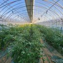 기찬농장 이미지