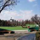 신트리근린공원 이미지